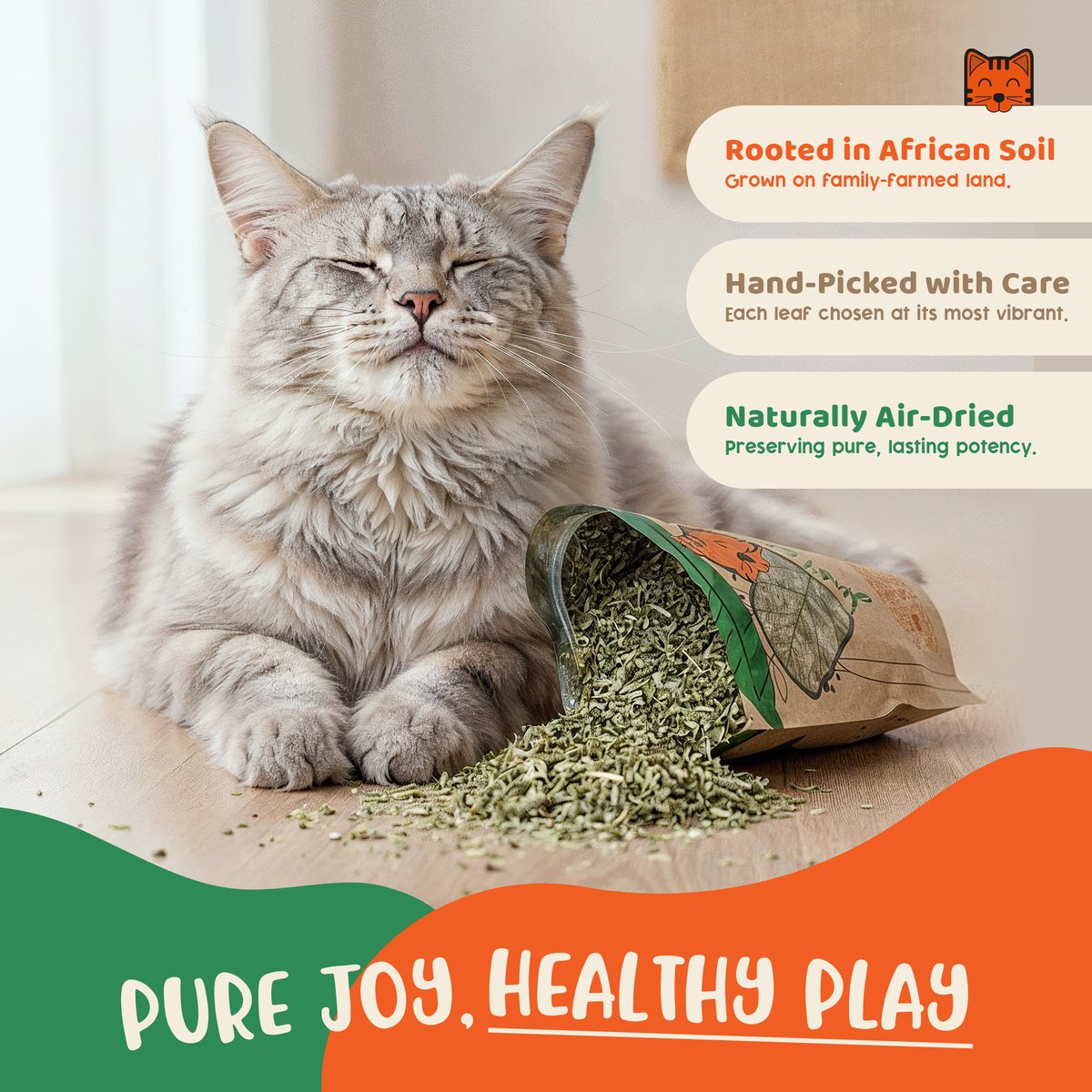 Cat relaxing beside a spilled pouch of Just Catnip fresh catnip