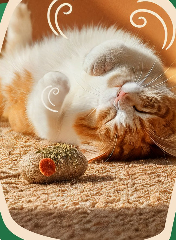 Just Catnip: aplus cat rolling