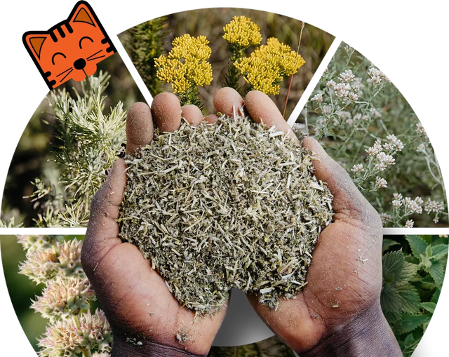 Just Catnip: farm hands
