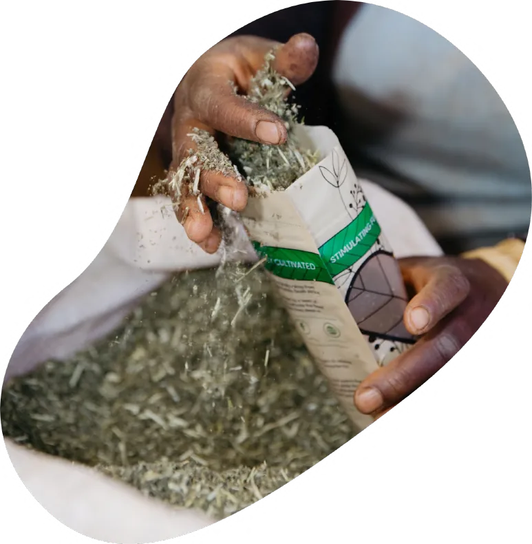 Just Catnip: farm packing