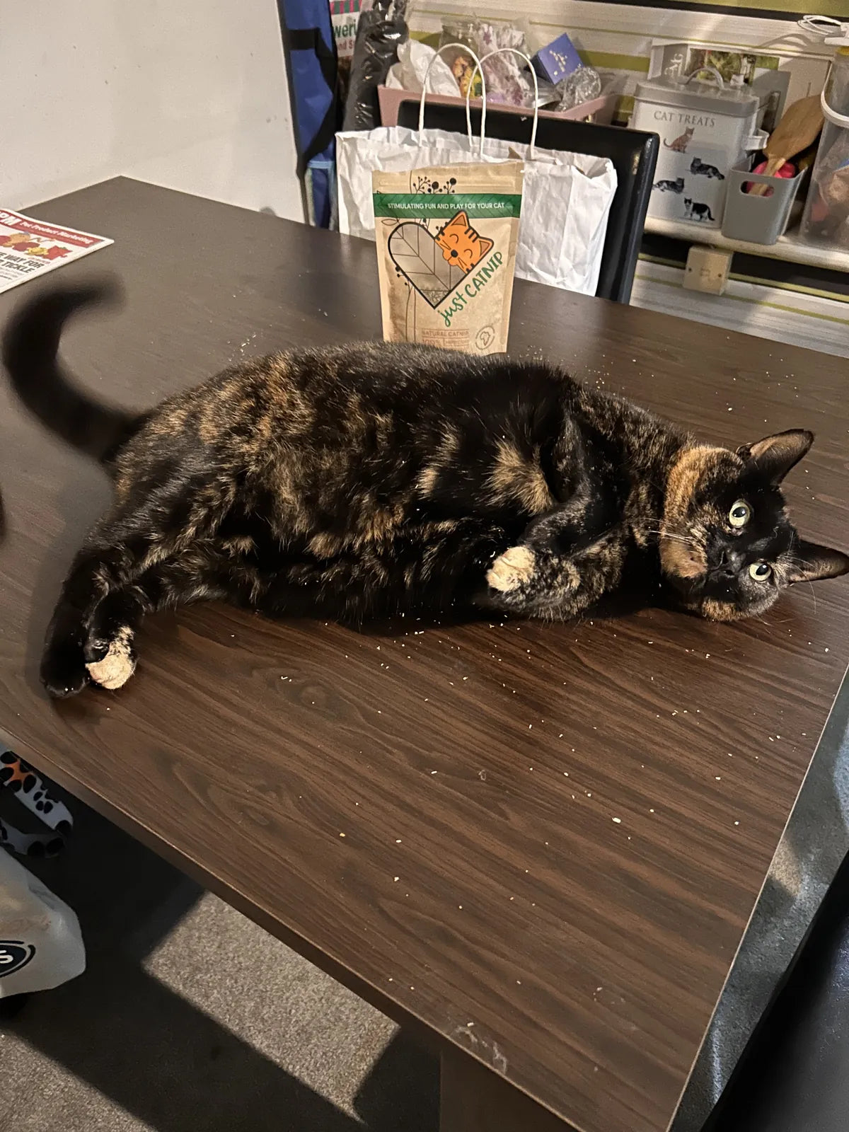 A tortoiseshell cat rolling in a sprinkle of catnip, with the pouch behind her